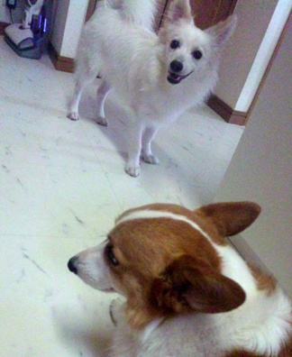100709_075657.jpg