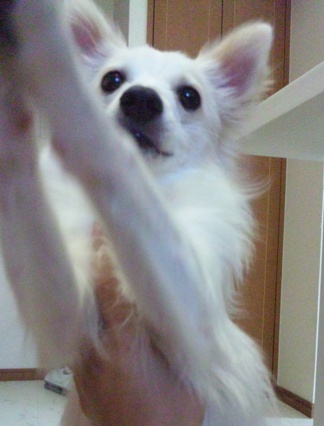 100902_083613.jpg