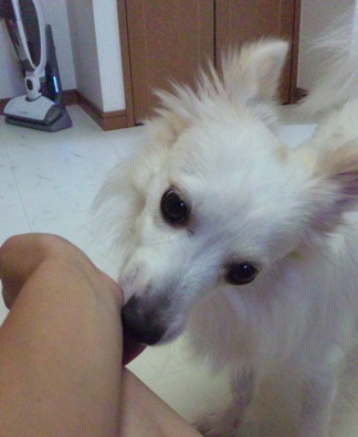 100902_083814.jpg