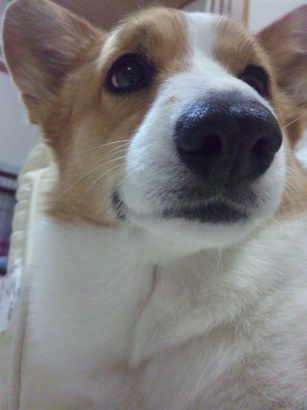 110124_233110.jpg