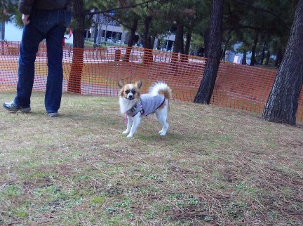 110219_140655.jpg