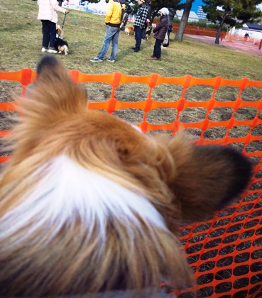 110219_150155.jpg