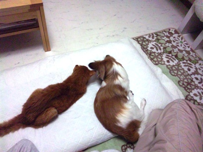110403_230504.jpg