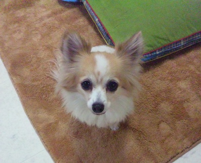 111225_171947.jpg