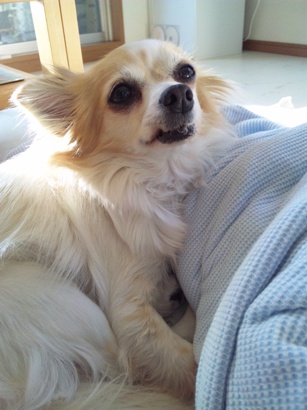 120111_085502.jpg