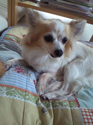 120123_090623.jpg