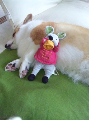 120123_090740.jpg