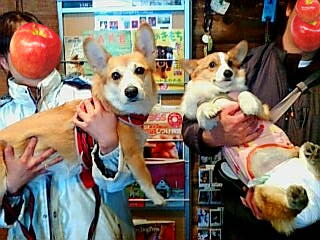 20070318150121_351E.jpg