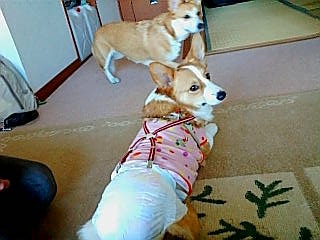 20070318163249_350E.jpg