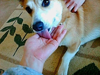 20070318163417_348E.jpg