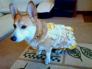20070318172008_342E.jpg