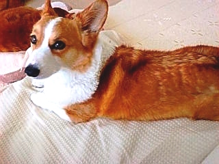 20070528082057_620E.jpg