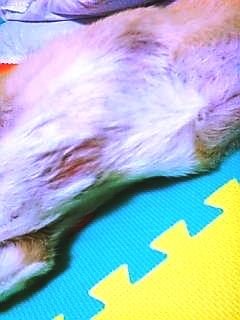 20070806214803_817E.jpg