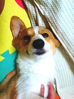 20070806215302_811E.jpg