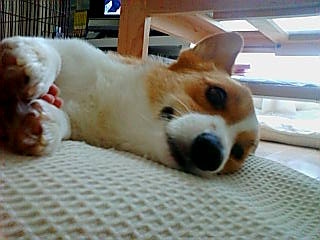 20070831084247_903E.jpg