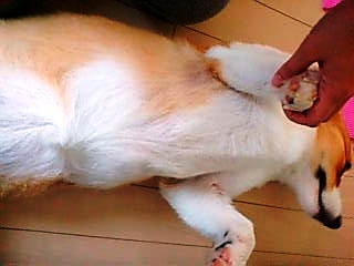 20070906075742_900E.jpg