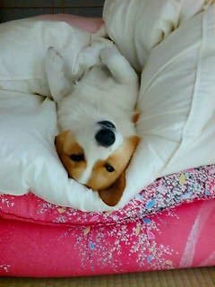 20080119230658_1171E.jpg
