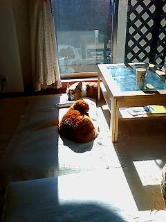 20080127101413_1222E.jpg
