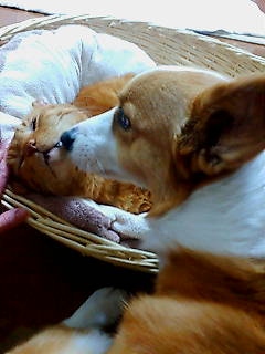 20080129010724_1212E.jpg