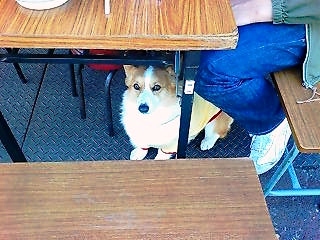 20080322134445_1312E.jpg