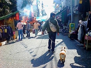 20080322134938_1310E.jpg