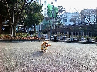 20080323152639_1305E.jpg