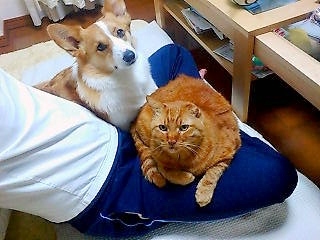 20080324212546_1302E.jpg