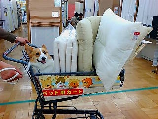20080405193321_1373E.jpg