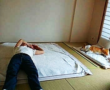 20080517093149_1345E.jpg