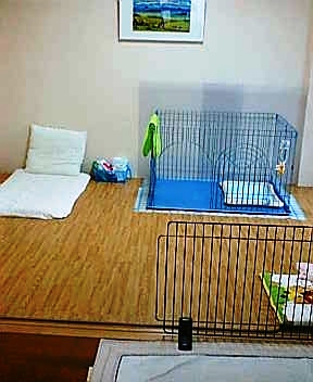 20080520074710_1328E.jpg