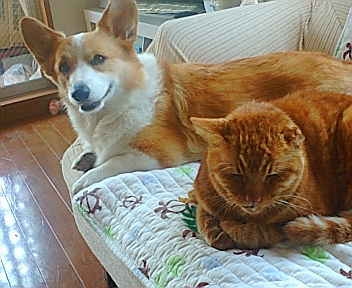 20091018105736_3187E.jpg