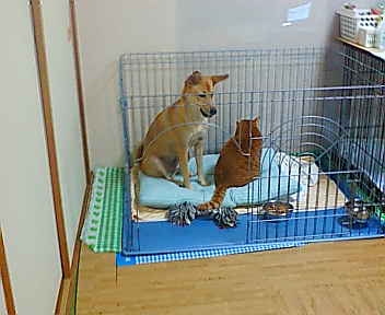 20091018191715_3184E.jpg
