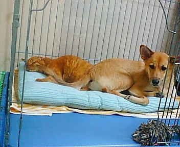 20091018232156_3179E.jpg
