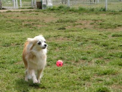 2011050914460147a.jpg