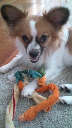20110629142355.jpg