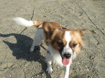 DSCF3847.jpg