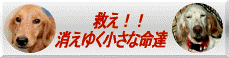 mohp-66.gif