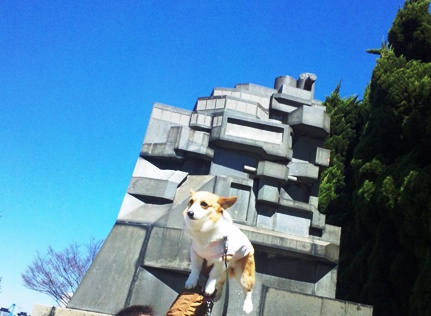 110327_114038.jpg