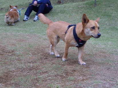 110503-03.jpg