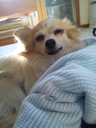 120111_085507.jpg