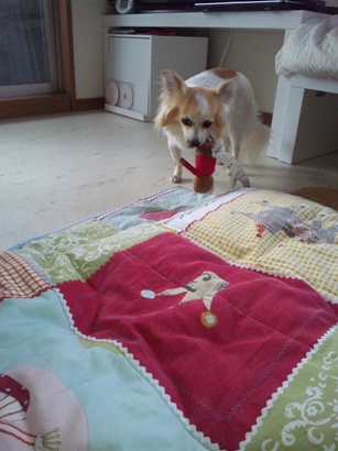 120123_090829.jpg