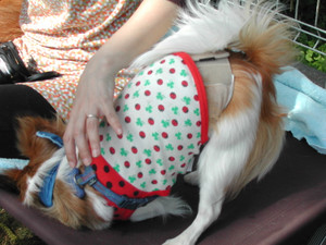 20101103_020.jpg