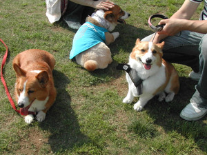 20101103_030.jpg