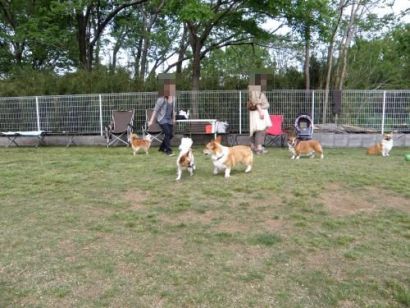 201105092117317f3.jpg