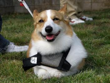 20110512125843352.jpg