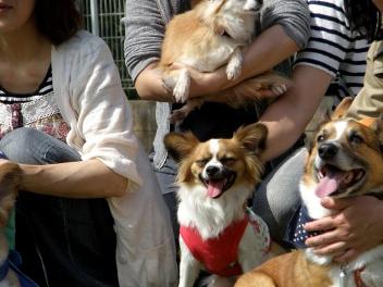 20110512133112cd4.jpg
