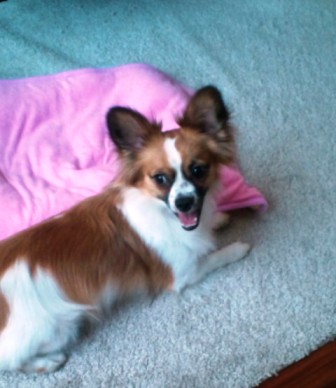 20110704172625.jpg