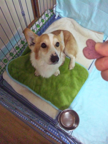 100309_085004.jpg
