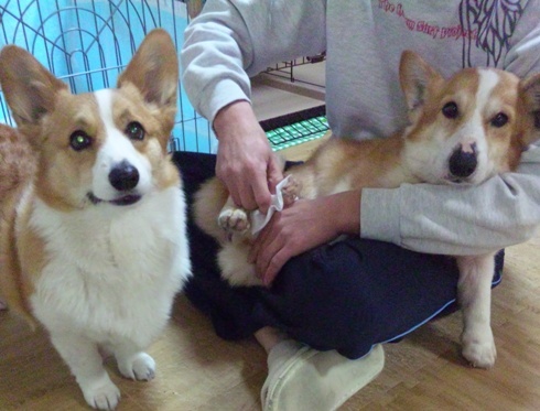 100310_205945.jpg
