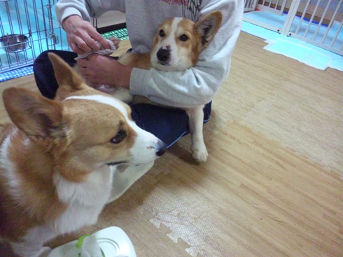 100310_210013.jpg